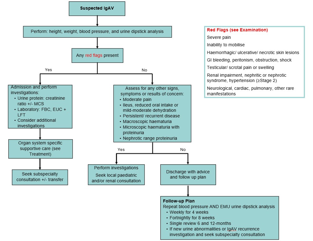 CPG IgAV flowchart _Aug2026 CPG IgAV flowchart _Aug2026